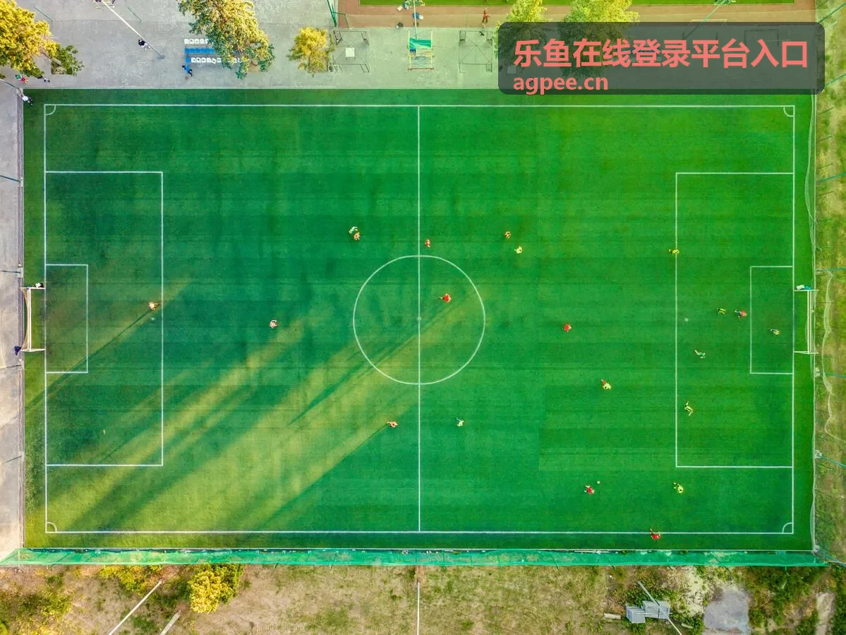 乐鱼在线登录平台入口的多终端页面预览