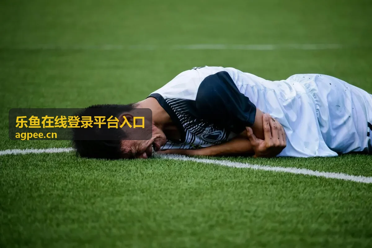 乐鱼在线登录平台入口常用功能场景展示