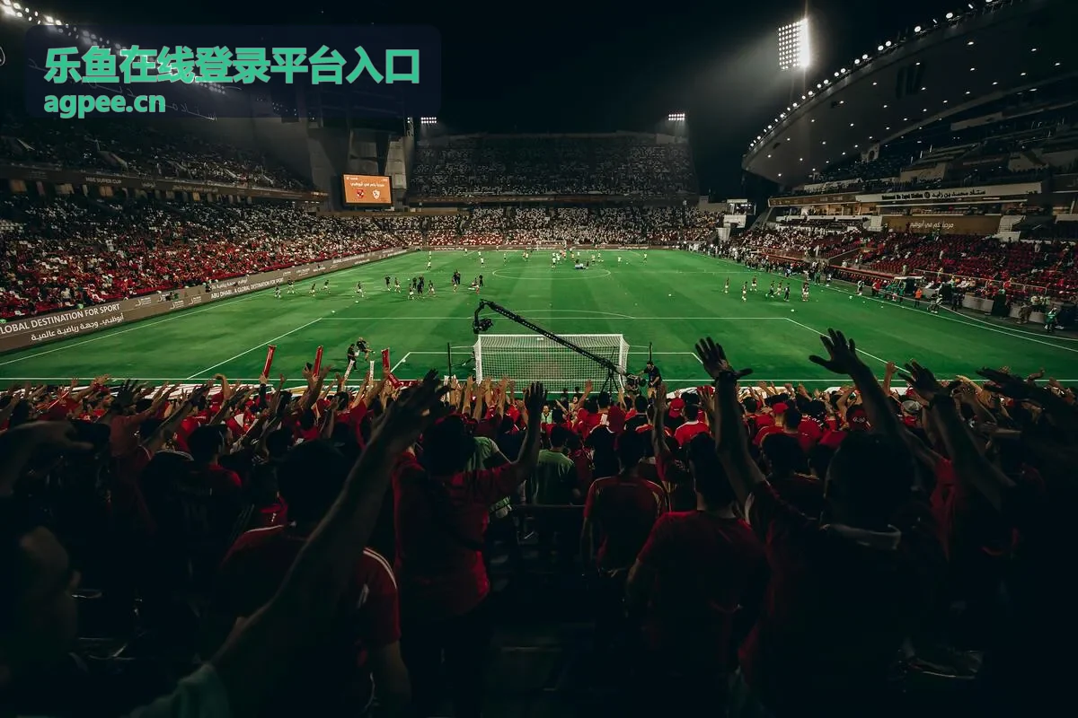 乐鱼在线登录平台入口账户安全设置示意